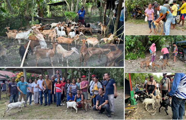 Livestock integration for income generation in Asuncion!