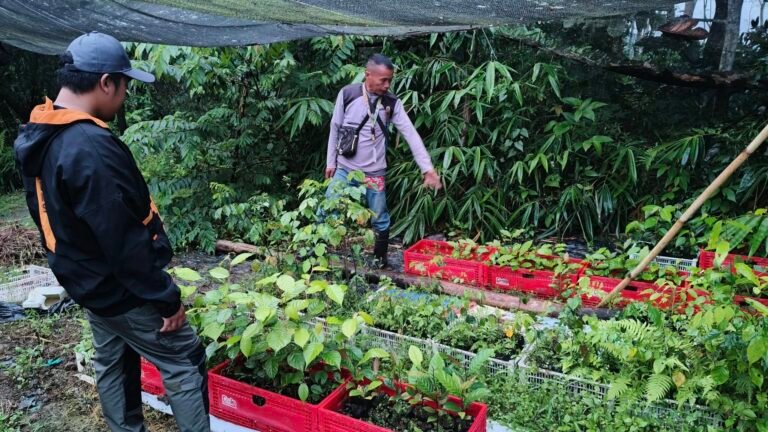 A Day of Greenery and Recognition: KDFI, Dole-Stanfilco, and Mapawa BLGU celebrate Municipal Arbor Day